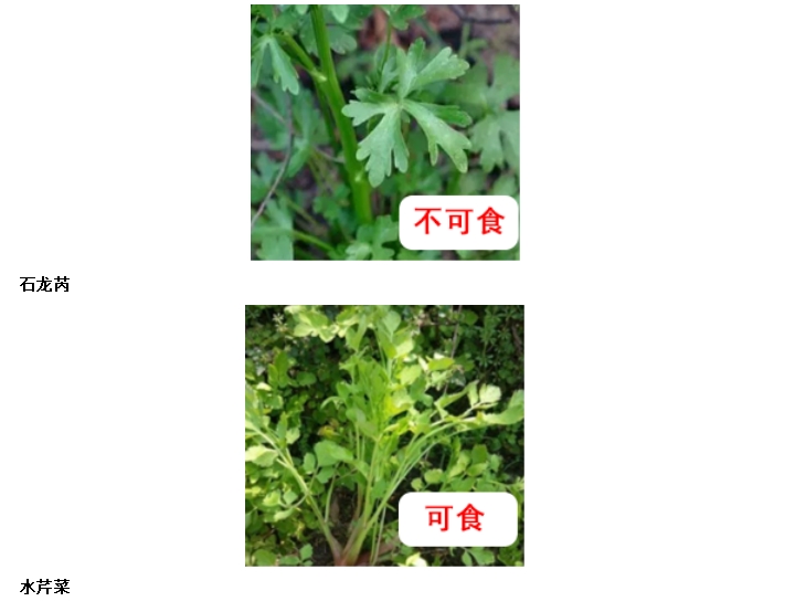 1720078809900579.png 微信截图_20240704154000.png