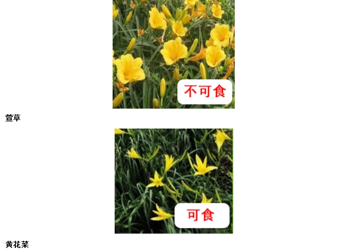 1720078889355687.png 微信截图_20240704154119.png