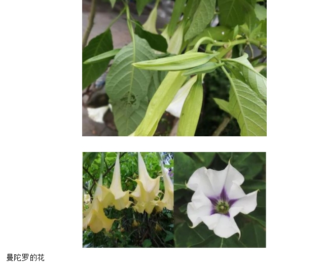 1720078944382262.png 微信截图_20240704154215.png