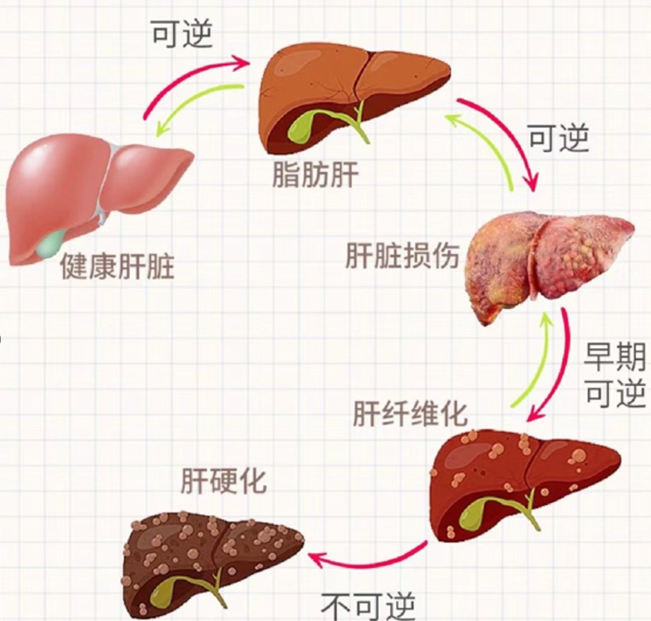 1742175456596162.png 图片9.png