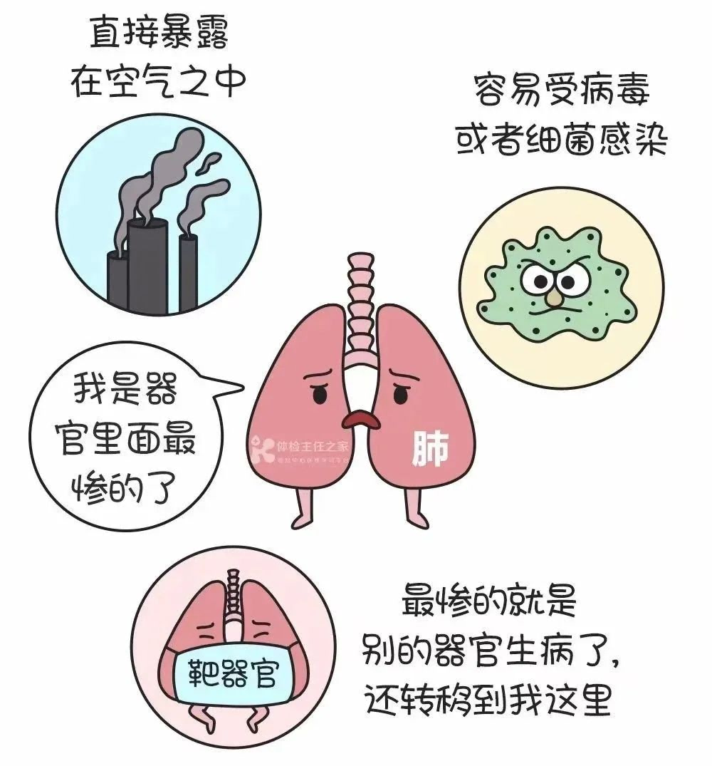 1744702444232435.png 查出3(1).png
